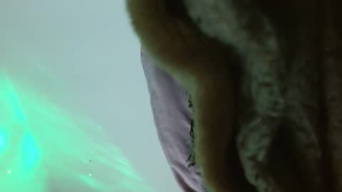 Ambaar online show from 02/10/26, 11:09