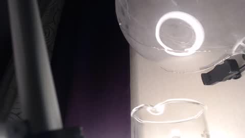 Snapshot of amoremeoww chatting on 02/13/25, 03:50 miss unforgettable online show from 02/13/25, 03:50