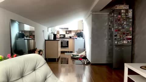 amyroberta92 online show from 02/25/26, 08:13