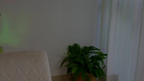 anabelcurvy online show from 05/13/26, 06:38