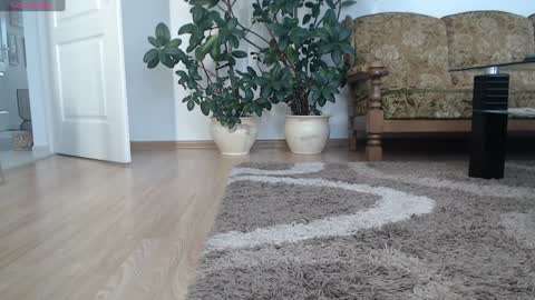 Ana online show from 01/11/25, 08:00