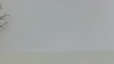 anaid_blaze2 online show from 11/10/25, 01:54