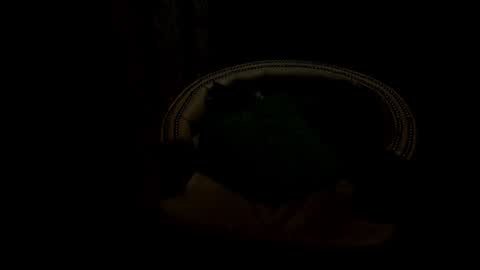 analia18  online show from 01/17/25, 06:33