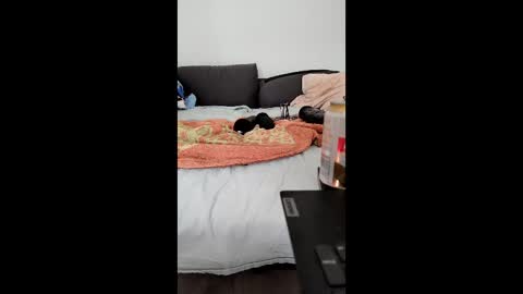 Snapshot of analtraining12 chatting on 03/26/26, 10:21 analtraining12 online show from 03/26/26, 10:21