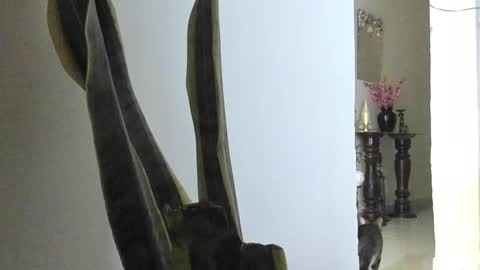 Snapshot of anapakerman chatting on 03/09/25, 12:42 Ana Pakerman online show from 03/09/25, 12:42