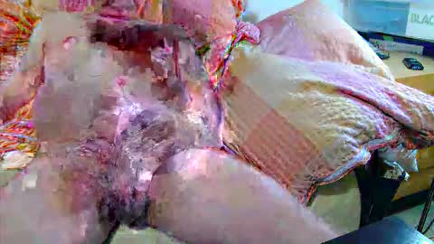 Snapshot of andi84k chatting on 11/20/25, 04:34 Andi online show from 11/20/25, 04:34