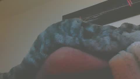 Snapshot of andionline chatting on 03/05/26, 05:14 andreas online show from 03/05/26, 05:14