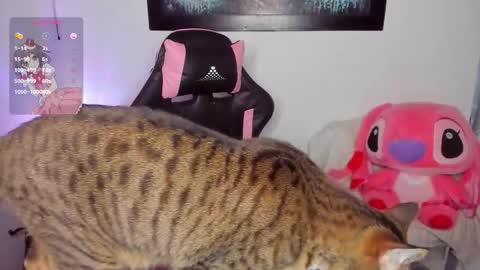 Snapshot of andreag_ chatting on 03/08/26, 07:01 Andrea online show from 03/08/26, 07:01