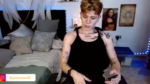 Snapshot of andreewwolffman chatting on 12/03/24, 04:36 Andrew online show from 12/03/24, 04:36