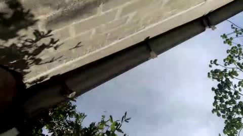 andrew online show from 09/14/25, 08:30