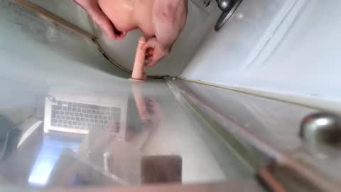 Snapshot of andybadass chatting on 03/10/25, 12:37 andybadass online show from 03/10/25, 12:37