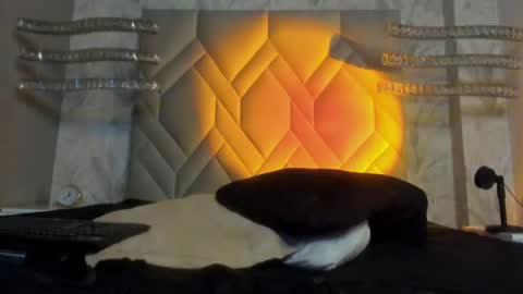 Snapshot of andypalmer_ chatting on 01/05/25, 09:48 andy palmer online show from 01/05/25, 09:48