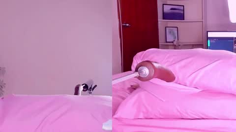 Snapshot of angeli__wu chatting on 02/18/25, 03:21 Angeli  online show from 02/18/25, 03:21