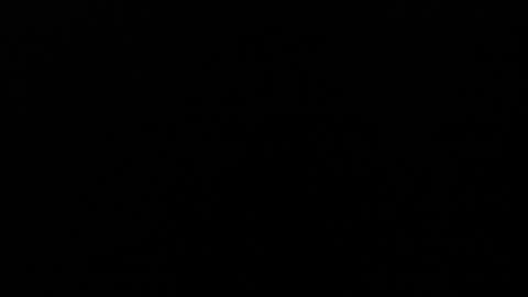 Snapshot of angelx_fox chatting on 12/05/24, 03:37 Angel Fox online show from 12/05/24, 03:37