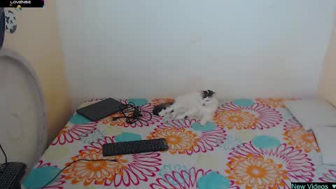 Angie y Andres online show from 01/20/25, 01:11