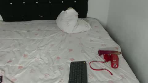 Snapshot of ani_steveson chatting on 02/26/26, 05:39 ani_steveson online show from 02/26/26, 05:39