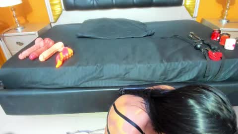 Ani  Time schedule 0600 - 1400 GMT -5 online show from 10/01/25, 11:05