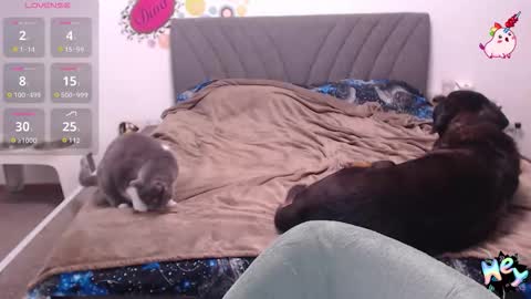 Snapshot of anna_ana chatting on 01/08/26, 06:10 Anadirectgirl online show from 01/08/26, 06:10