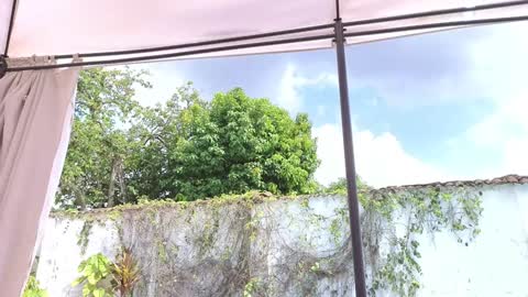 Anna online show from 12/07/24, 04:25