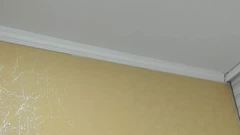       online show from 05/30/26, 11:46