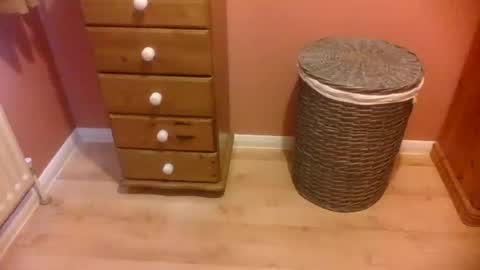 annecharlie online show from 11/16/25, 08:42