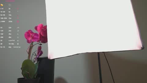 Ana online show from 09/13/25, 11:32