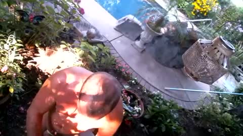 Snapshot of anoaklawnguy chatting on 09/14/25, 03:22 anoaklawnguy online show from 09/14/25, 03:22