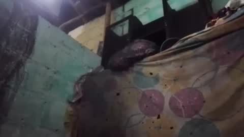 Snapshot of anonimode18cm1 chatting on 03/19/26, 03:54 anonimode18cm1 online show from 03/19/26, 03:54