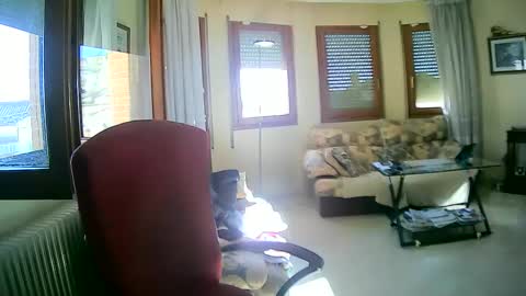 Antonio online show from 01/13/25, 11:19