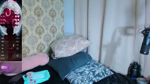 Camila  online show from 12/29/24, 01:24