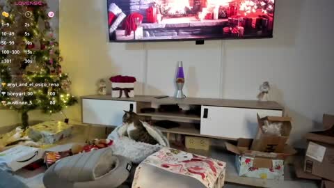 Snapshot of anyi_1 chatting on 01/07/25, 03:24 Anyi Orion and Pyxis online show from 01/07/25, 03:24