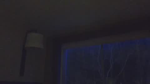 Daddy online show from 11/15/25, 02:31