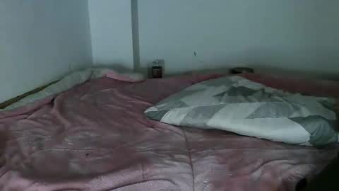 Snapshot of aoi_dandelion chatting on 01/05/25, 04:47 aoi_dandelion online show from 01/05/25, 04:47