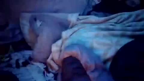 apocolypseanomaly online show from 12/16/24, 12:49