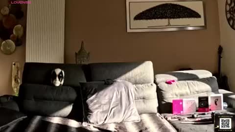 Snapshot of apollonfitx_69 chatting on 02/01/26, 01:53 apollonfitx_69 online show from 02/01/26, 01:53