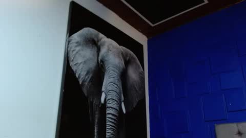 Snapshot of apolo_klein1 chatting on 02/11/25, 08:48 Apolo online show from 02/11/25, 08:48