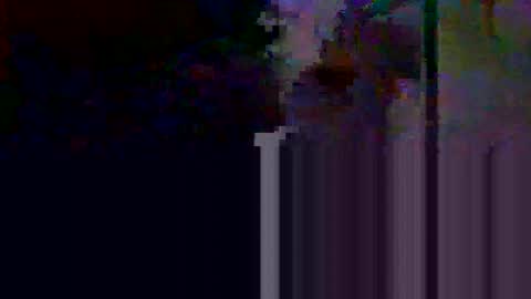 apolosimanu38 online show from 05/10/26, 08:58