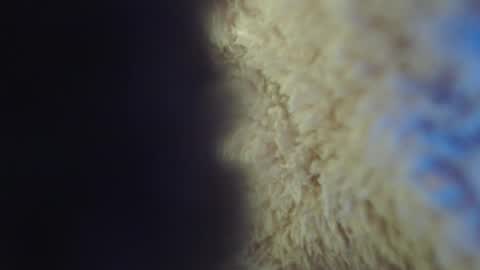 Abril Freelance Model online show from 02/05/25, 05:09