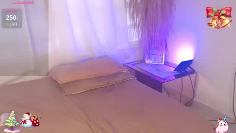          online show from 12/22/25, 02:14