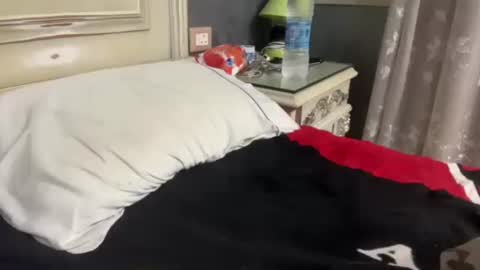 Snapshot of arabman991 chatting on 01/29/25, 01:05 Egyptian Man online show from 01/29/25, 01:05