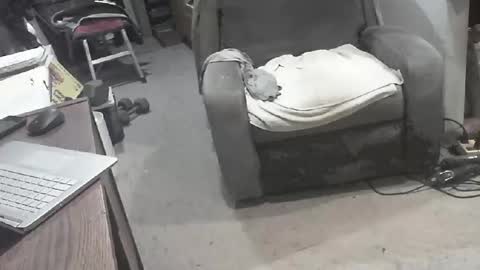 arealshowoff online show from 03/22/26, 12:08