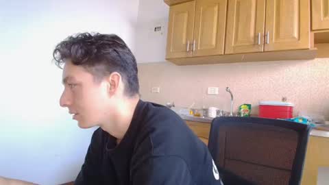 Snapshot of aria_arthur chatting on 10/15/25, 12:27 aria_arthur online show from 10/15/25, 12:27