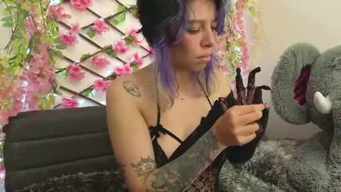 aria_silk online show from 06/26/26, 07:51