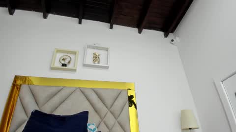  ARI  online show from 01/14/25, 09:35