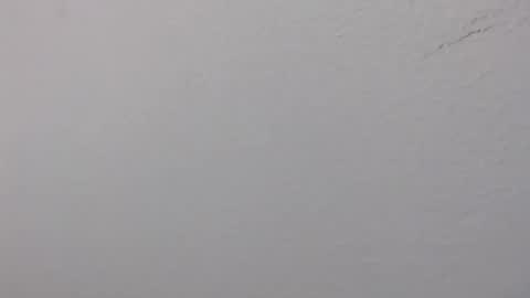 ariannaloovel online show from 06/14/26, 02:24