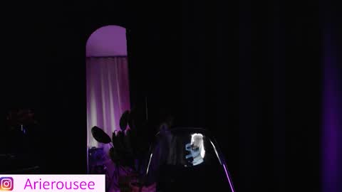 Snapshot of arie_rousee_sub chatting on 01/15/26, 10:46 ARIE online show from 01/15/26, 10:46