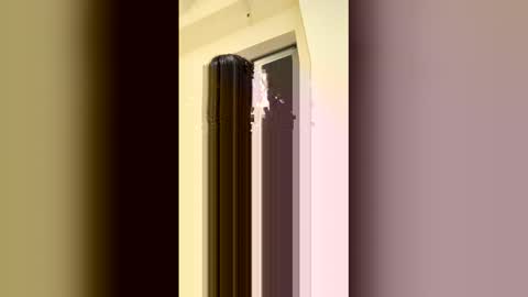 arilavish online show from 04/11/26, 05:34