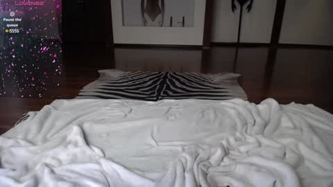 arinamir online show from 12/28/24, 06:28