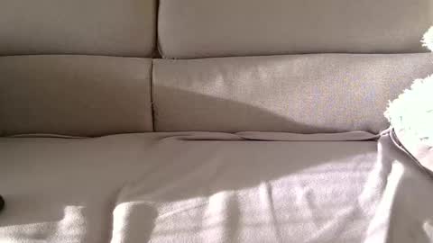 arpinopeer3055 online show from 11/05/25, 08:14