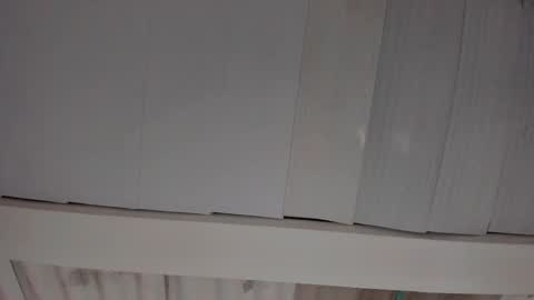 Snapshot of artemis_020 chatting on 11/18/25, 02:06 FENIX online show from 11/18/25, 02:06